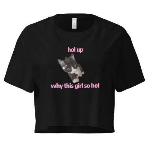 Hol Up Why This Girl So Hot Y2K Baby Tee | Rizz Activated Retro Cropped Top | You're the Problem Meme Tee