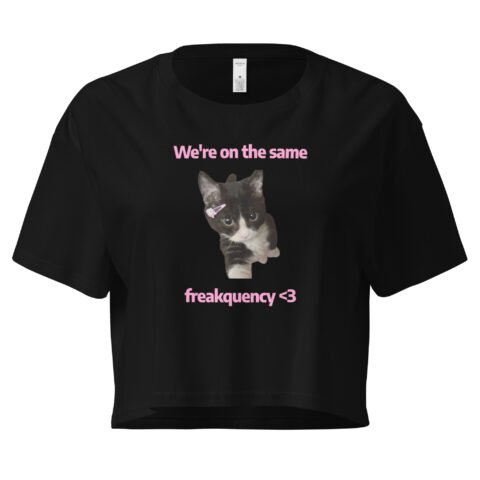 We're on the Same Freakquency Y2K Baby Tee | Freakquency Match Alt-Girl Crop Top | Softcore Radio Tumblr Tee