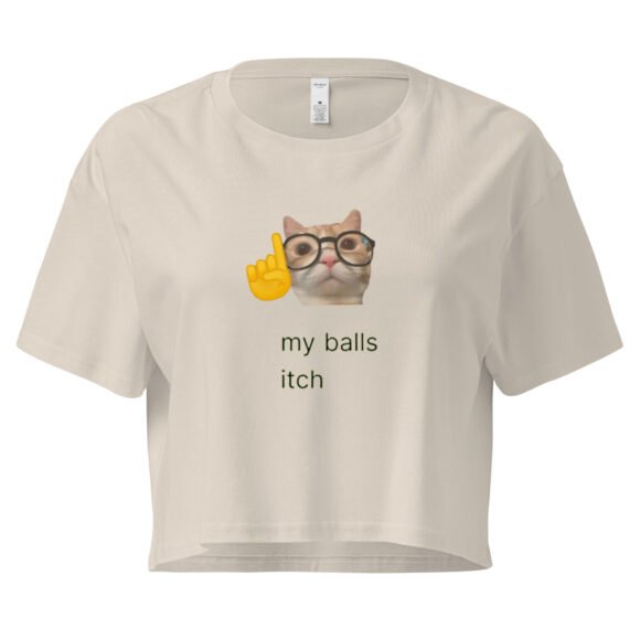 My Balls Itch Y2K Baby Tee | Daily Male Struggle Retro Cropped Top | Weirdcore Slutty Meme Tee - Image 5