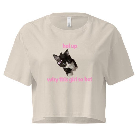 Hol Up Why This Girl So Hot Y2K Baby Tee | Rizz Activated Retro Cropped Top | You're the Problem Meme Tee - Image 6