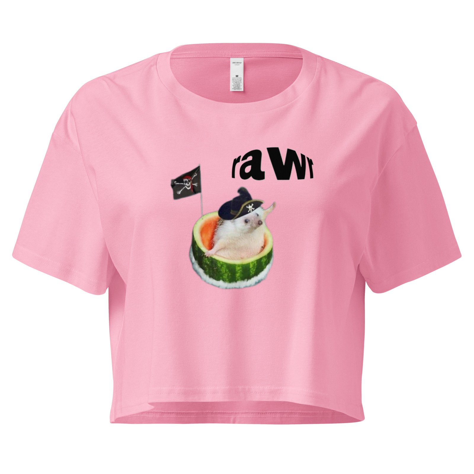 Rawr Pirate Cat in Watermelon Y2K Baby Tee | Chaotic Summer Kitty Retro Cropped Top | Piratecore Cat Meme Tee - Image 5
