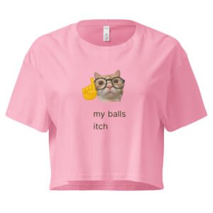My Balls Itch Y2K Baby Tee | Daily Male Struggle Retro Cropped Top | Weirdcore Slutty Meme Tee