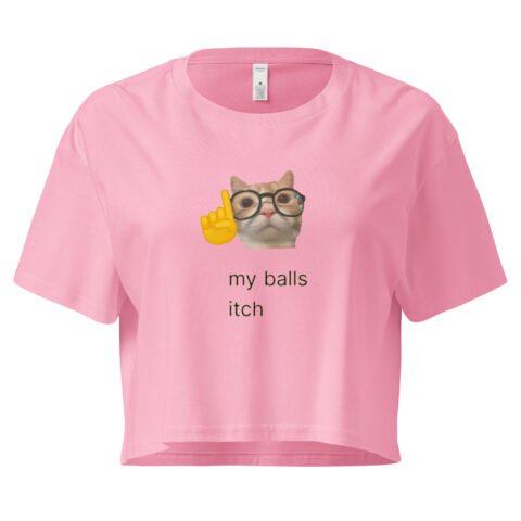 My Balls Itch Y2K Baby Tee | Daily Male Struggle Retro Cropped Top | Weirdcore Slutty Meme Tee