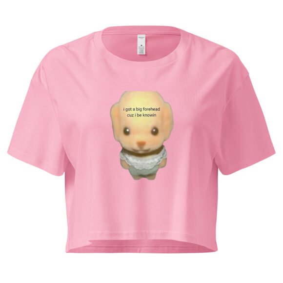 I Got a Big Forehead Cuz I Be Knowin Y2K Baby Tee | Smart Bitch Vibes Retro Cropped Top | Wisdom Head Meme Tee - Image 5