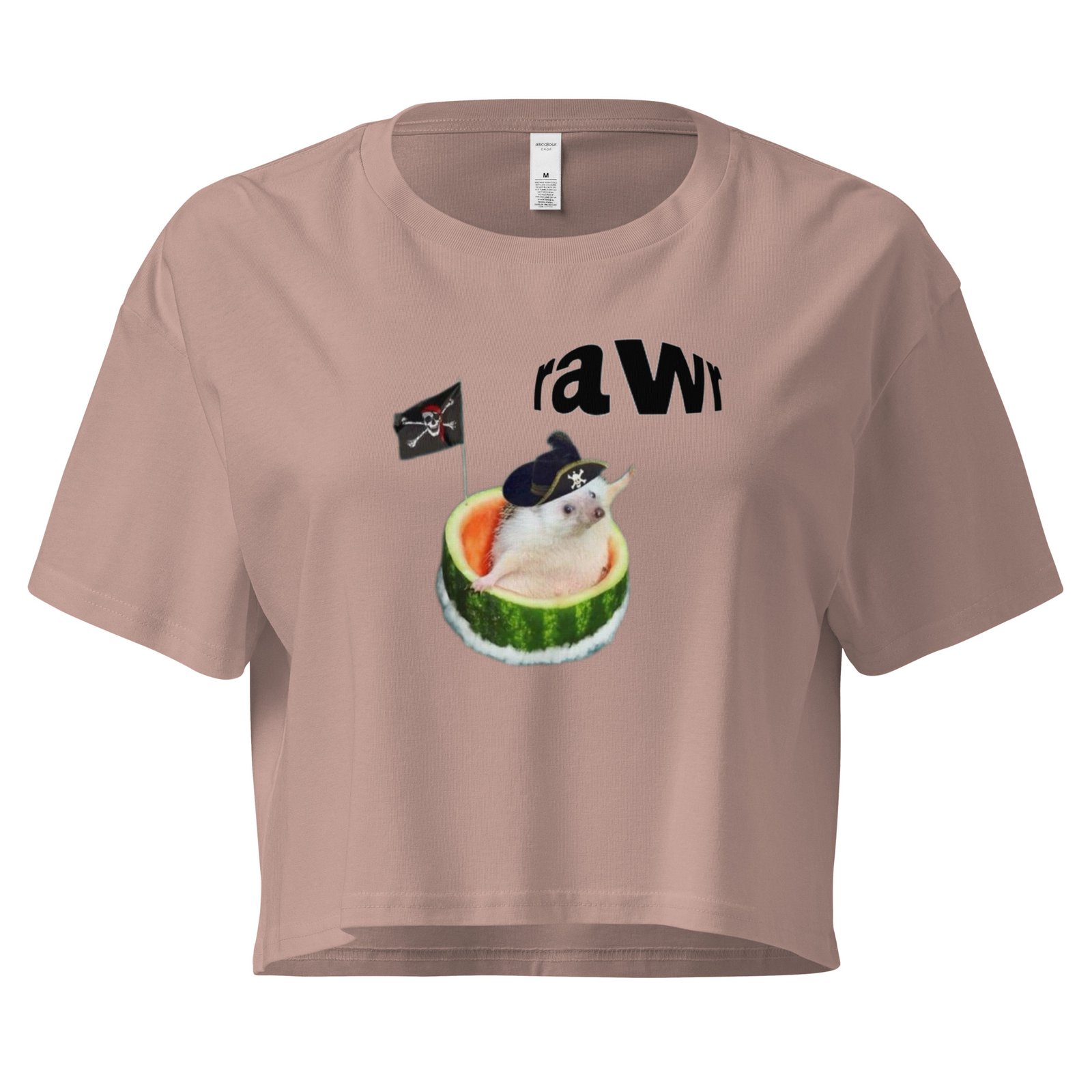 Rawr Pirate Cat in Watermelon Y2K Baby Tee | Chaotic Summer Kitty Retro Cropped Top | Piratecore Cat Meme Tee - Image 4