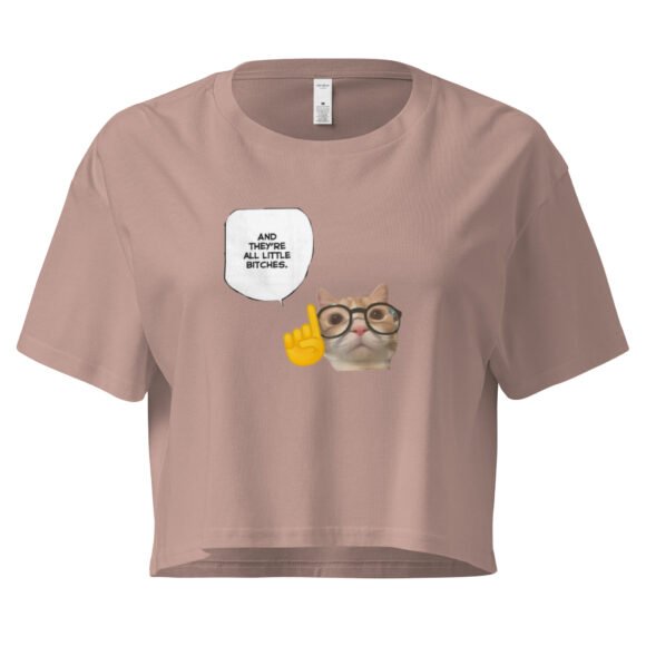 And Theyre Little Bitches Cat Y2K Baby Tee | Mean Catcore Retro Cropped Top | Feral Feminine Energy Meme Tee - Image 4