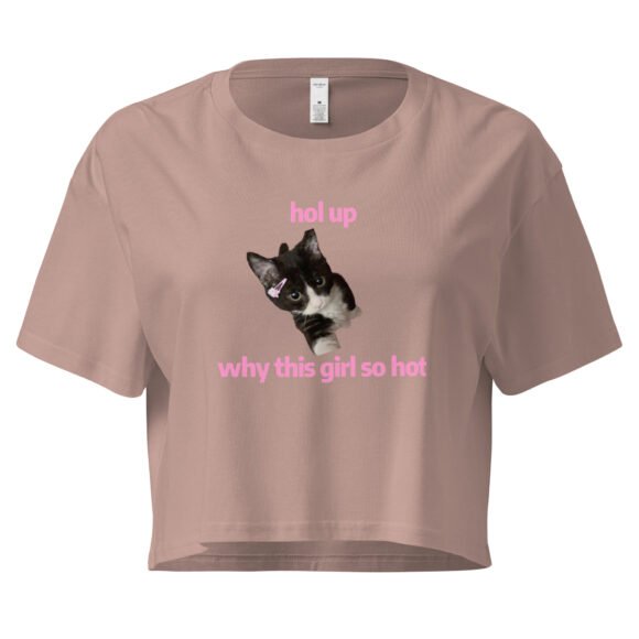 Hol Up Why This Girl So Hot Y2K Baby Tee | Rizz Activated Retro Cropped Top | You're the Problem Meme Tee - Image 3