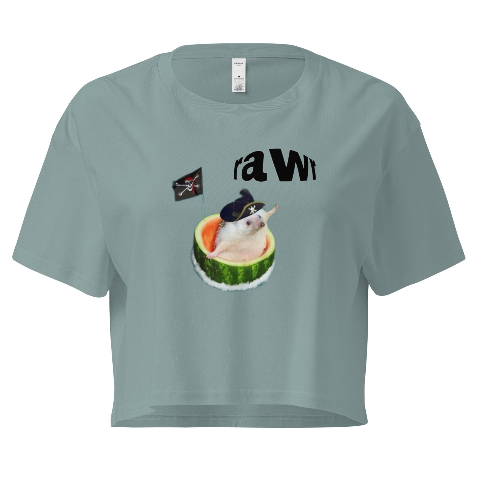 Rawr Pirate Cat in Watermelon Y2K Baby Tee | Chaotic Summer Kitty Retro Cropped Top | Piratecore Cat Meme Tee - Image 3