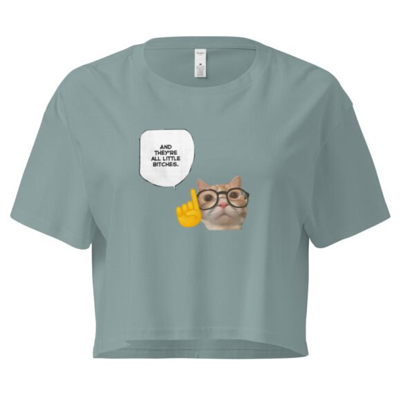 And Theyre Little Bitches Cat Y2K Baby Tee | Mean Catcore Retro Cropped Top | Feral Feminine Energy Meme Tee - Image 3