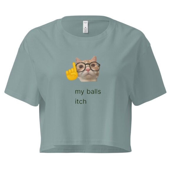 My Balls Itch Y2K Baby Tee | Daily Male Struggle Retro Cropped Top | Weirdcore Slutty Meme Tee - Image 2