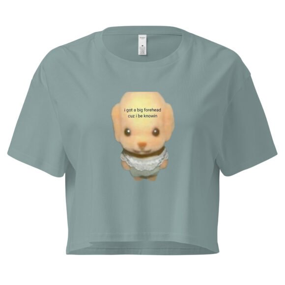I Got a Big Forehead Cuz I Be Knowin Y2K Baby Tee | Smart Bitch Vibes Retro Cropped Top | Wisdom Head Meme Tee - Image 3