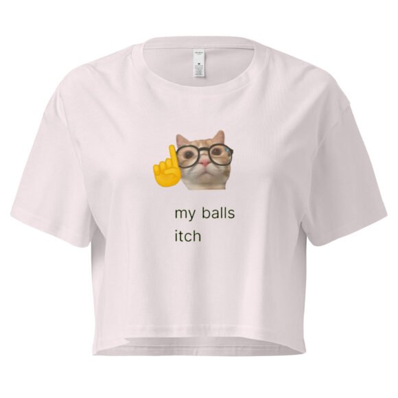 My Balls Itch Y2K Baby Tee | Daily Male Struggle Retro Cropped Top | Weirdcore Slutty Meme Tee - Image 6