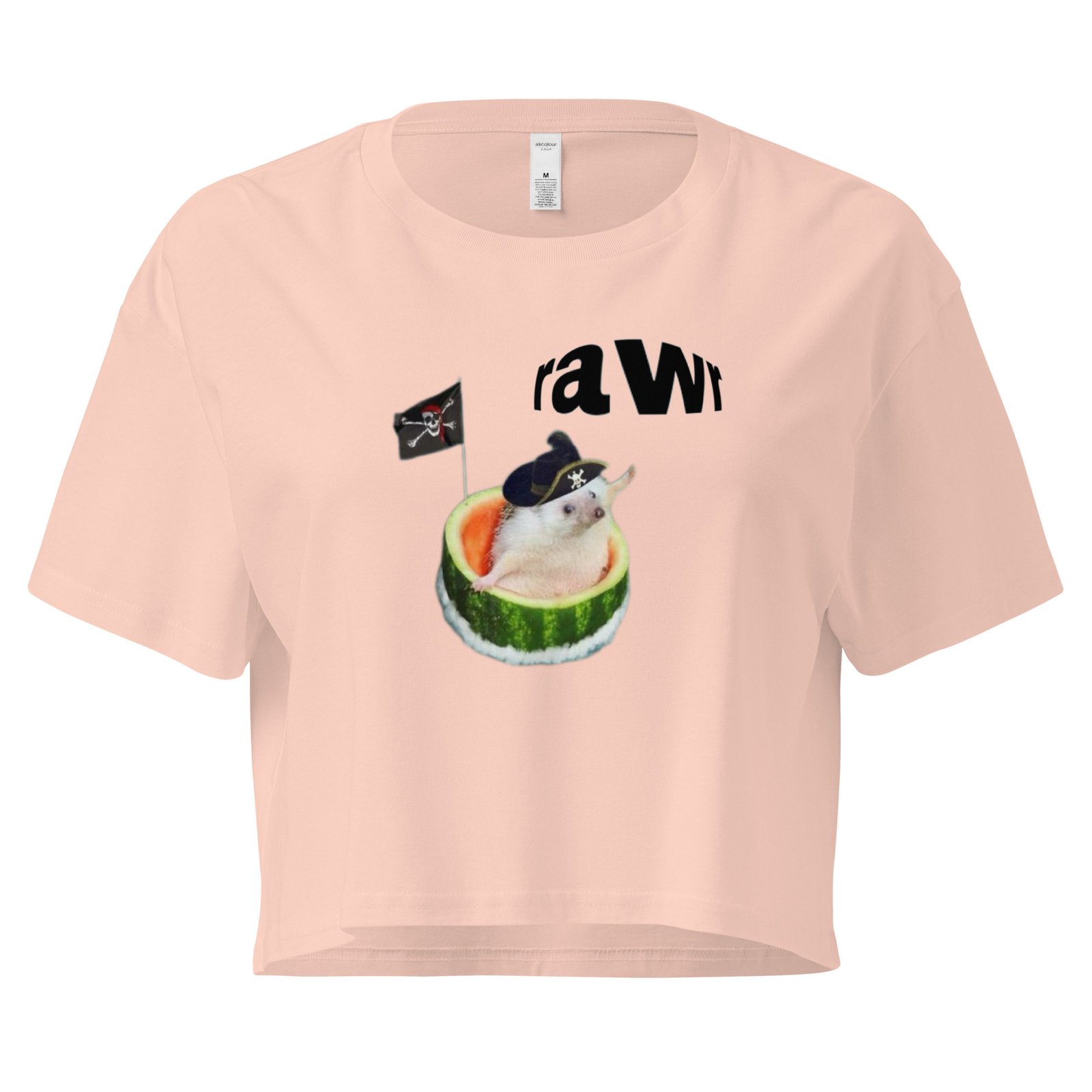 Rawr Pirate Cat in Watermelon Y2K Baby Tee | Chaotic Summer Kitty Retro Cropped Top | Piratecore Cat Meme Tee - Image 6