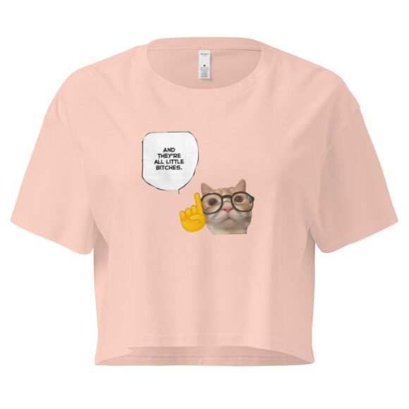 And Theyre Little Bitches Cat Y2K Baby Tee | Mean Catcore Retro Cropped Top | Feral Feminine Energy Meme Tee - Image 5