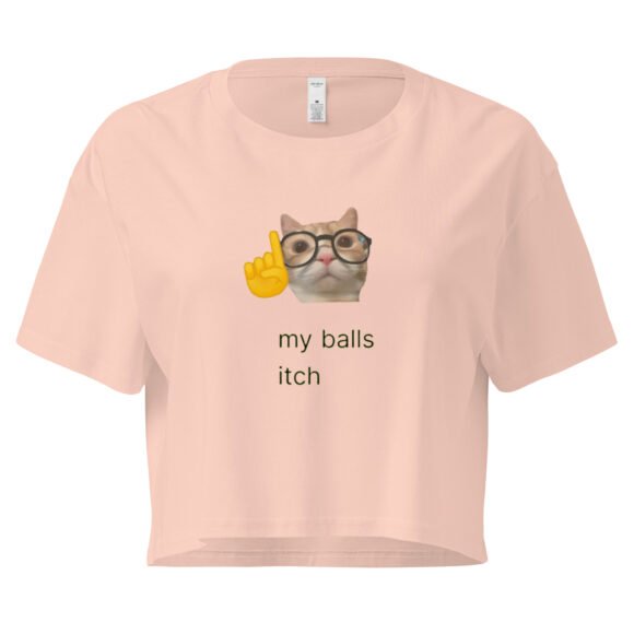My Balls Itch Y2K Baby Tee | Daily Male Struggle Retro Cropped Top | Weirdcore Slutty Meme Tee - Image 4