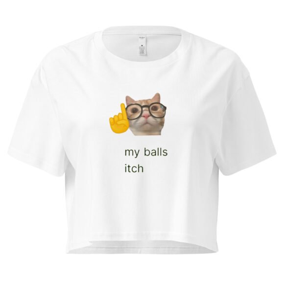 My Balls Itch Y2K Baby Tee | Daily Male Struggle Retro Cropped Top | Weirdcore Slutty Meme Tee - Image 9
