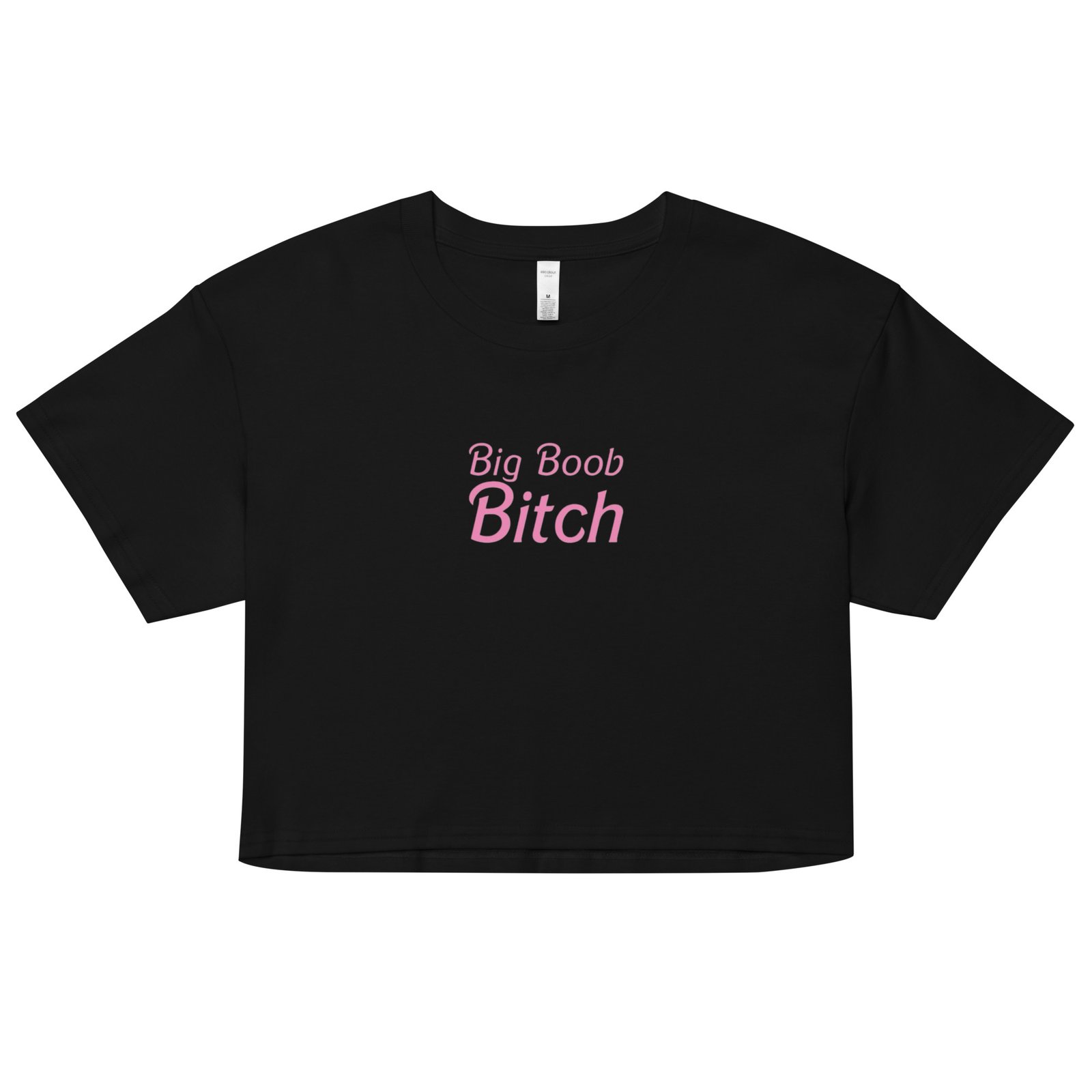 Big Boob Bitch Y2K Baby Tee | Bimbo Energy Retro Cropped Top | Loud & Proud Meme Shirt