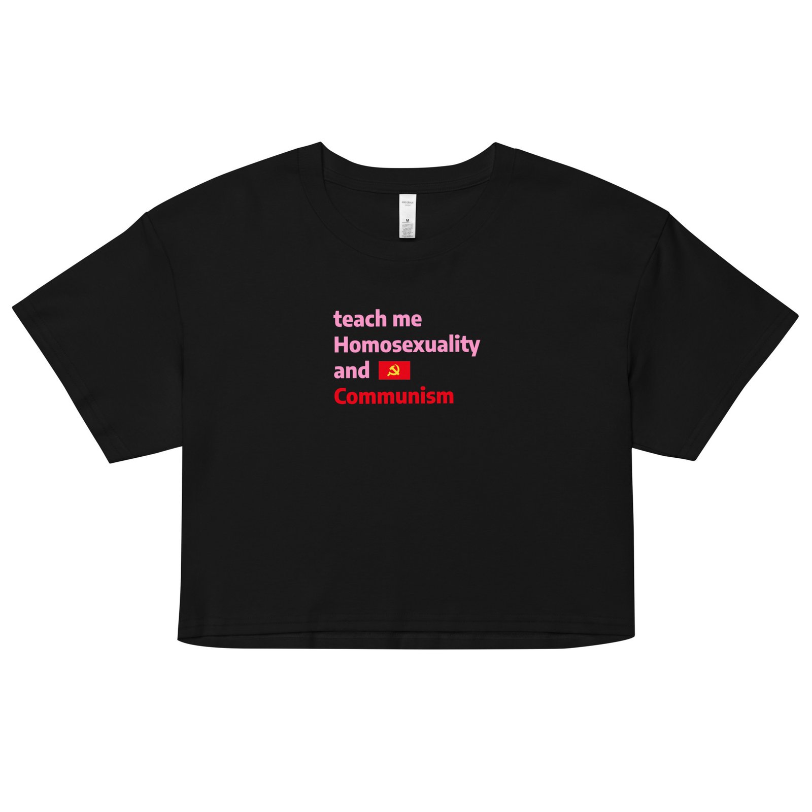 Teach Me Homosexuality and Communism Y2K Baby Tee | Gay Leftist Slut Retro Cropped Top | Educated and Horny Meme Tee