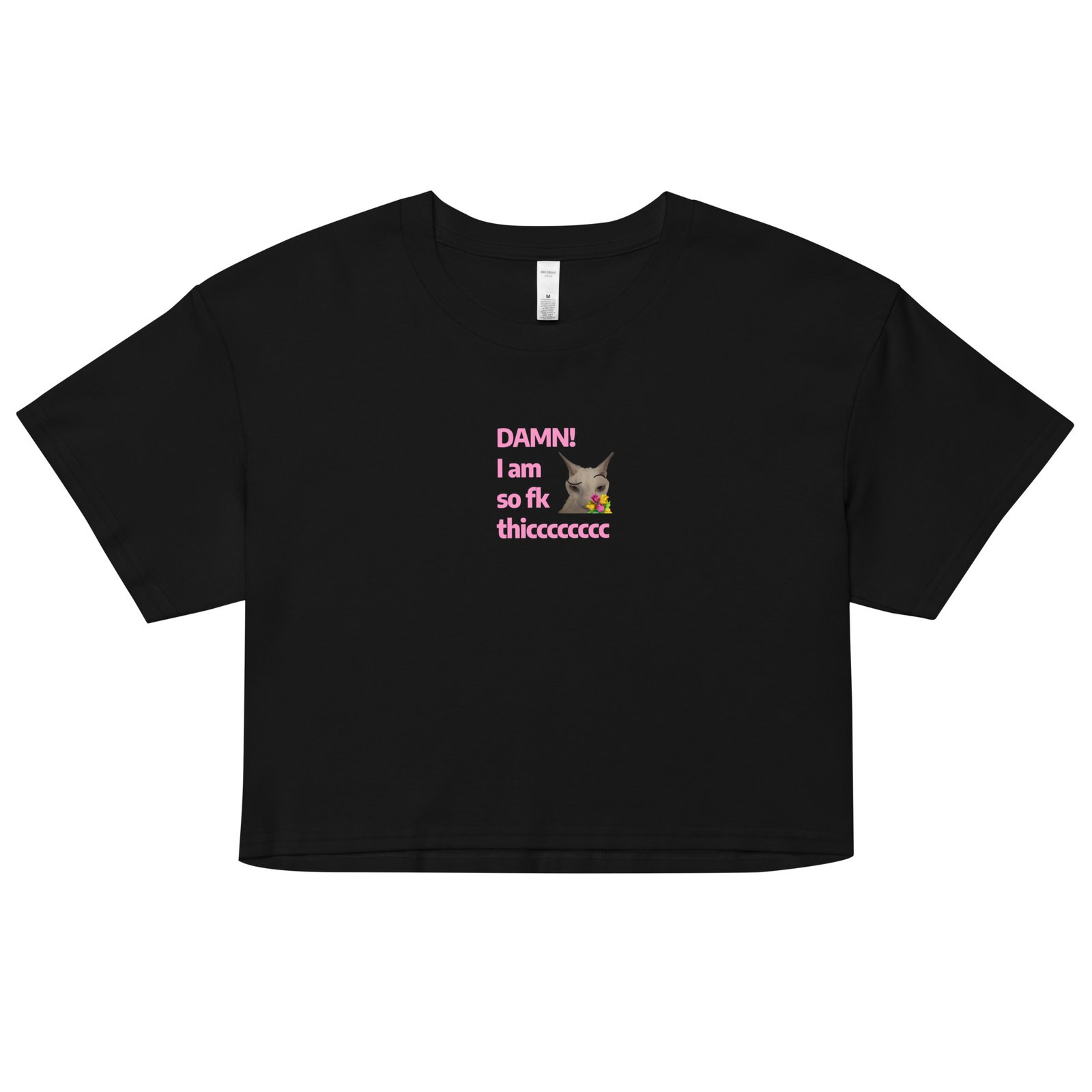 Damn Im So Fk Thicc Y2K Baby Tee | Dump Truck Baddie Retro Cropped Top | Full Body Meme Moment Tee