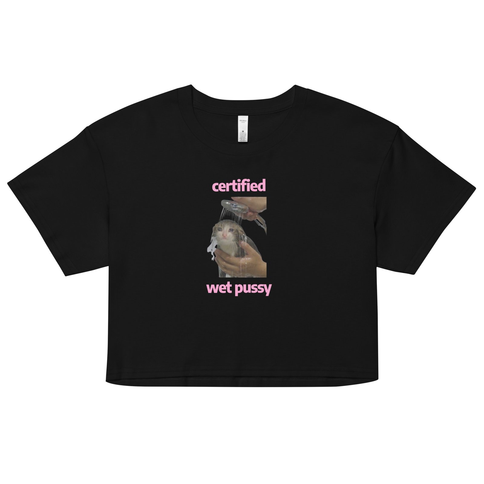 Certified Wet Pussy Y2K Baby Tee | Extra Juicy Bimbo Retro Cropped Top | Hydrated Slutcore Meme Tee - Image 2