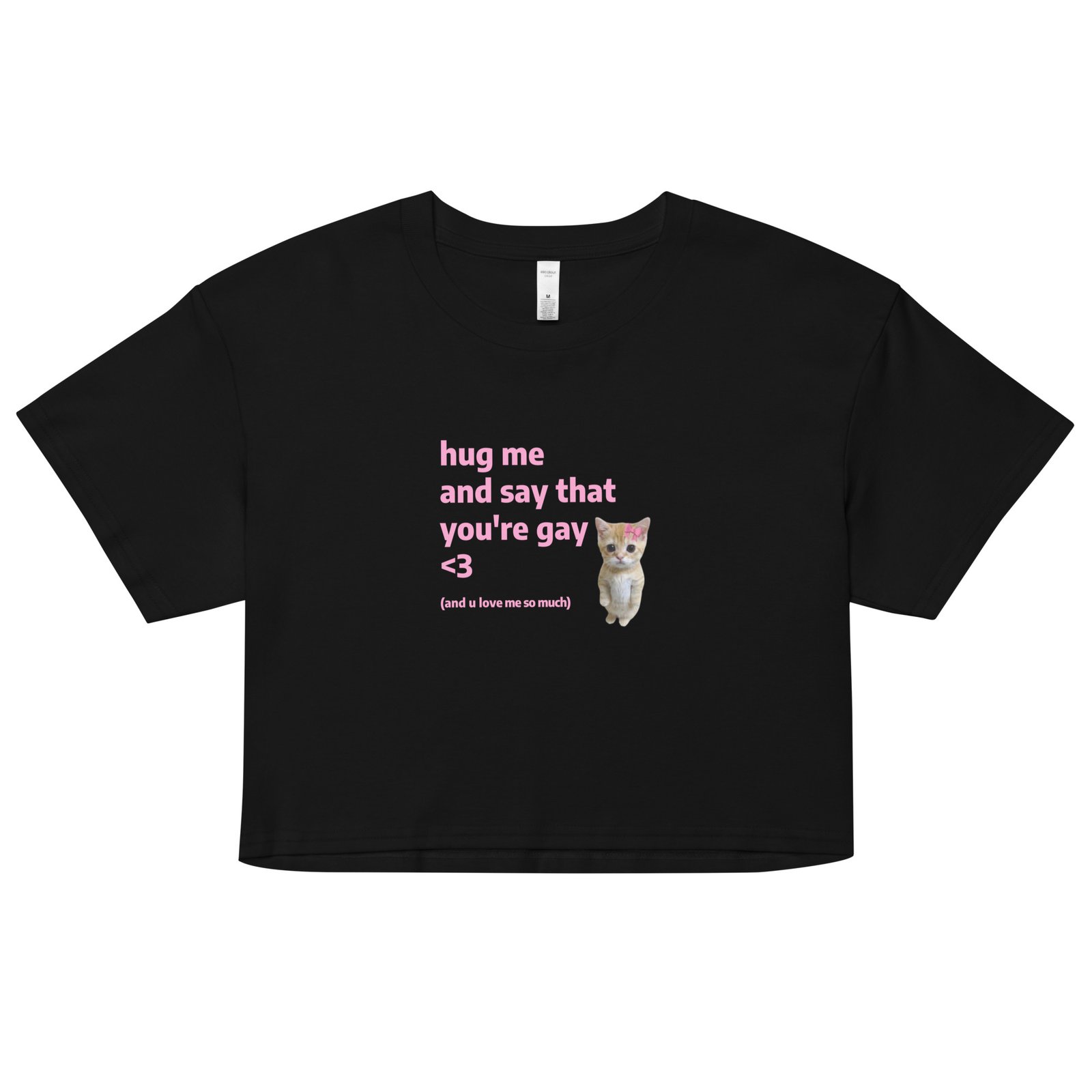 Hug Me and Say That Youre Gay and You Love Me Y2K Baby Tee | Queer Crybaby Cropped Top | Gay Sadgirl Meme Tee - Image 2
