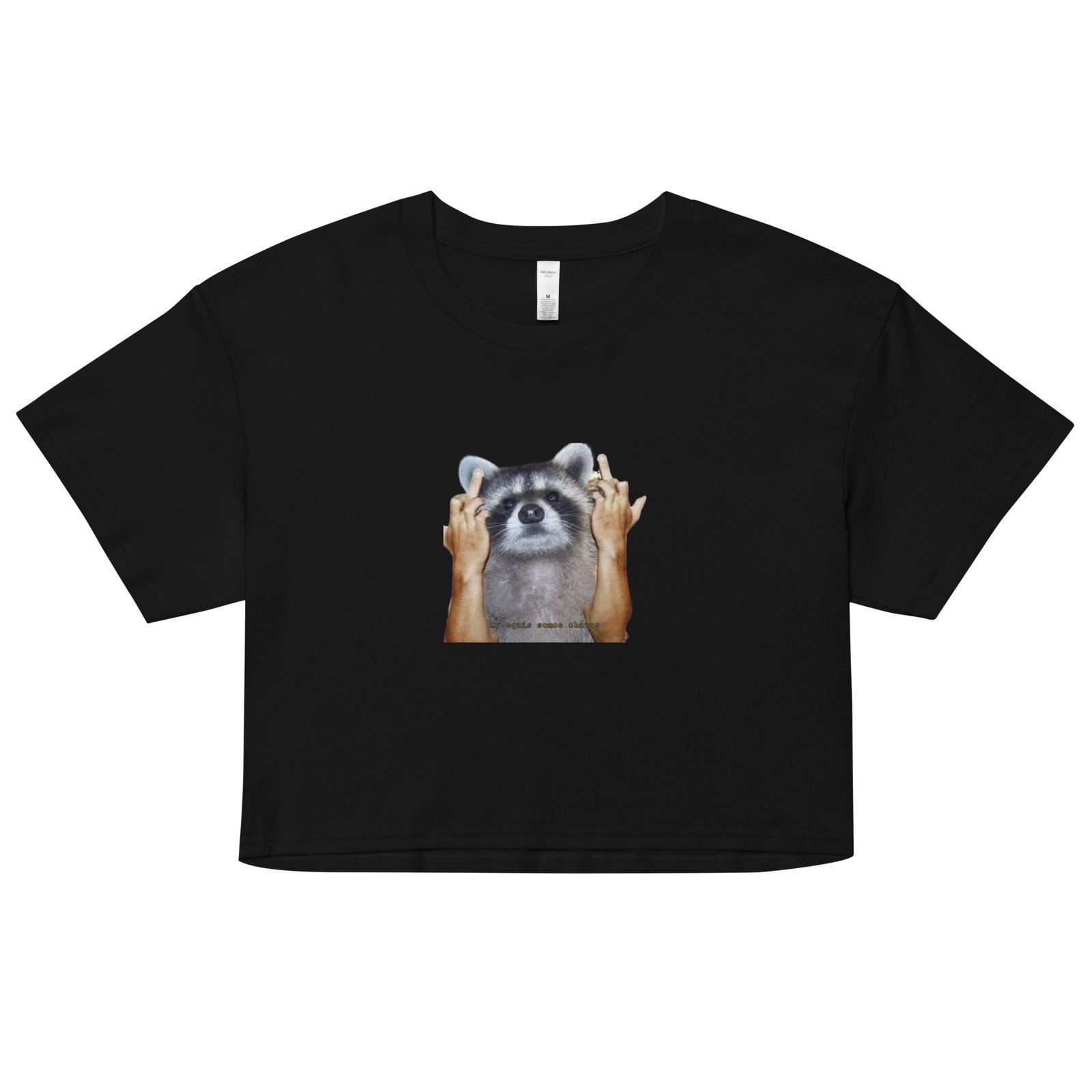 Fuck You Raccoon Y2K Baby Tee | Trash Animal Rage Retro Cropped Top | Angry Rodentcore Girl Tee - Image 2