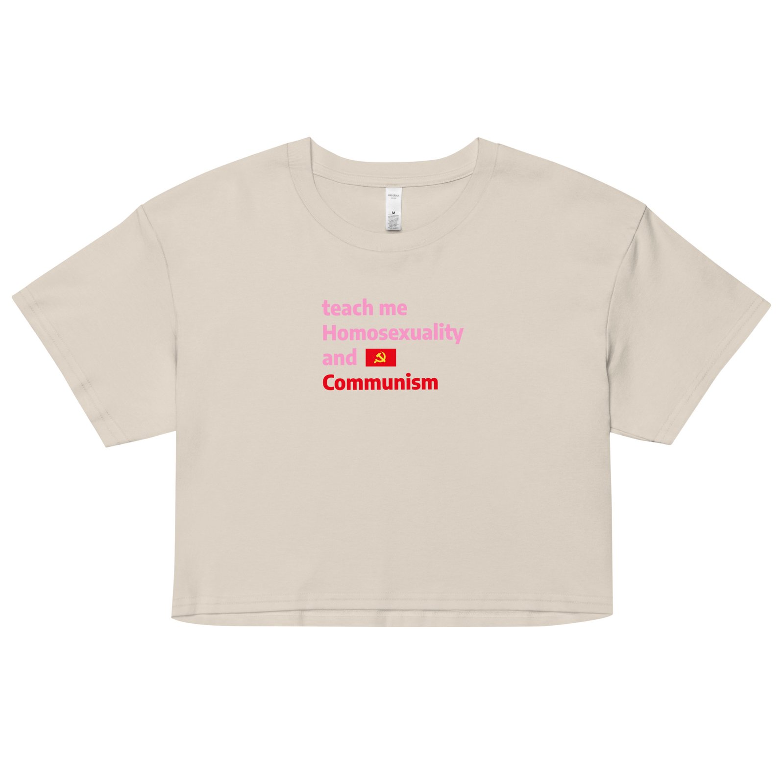 Teach Me Homosexuality and Communism Y2K Baby Tee | Gay Leftist Slut Retro Cropped Top | Educated and Horny Meme Tee - Image 11