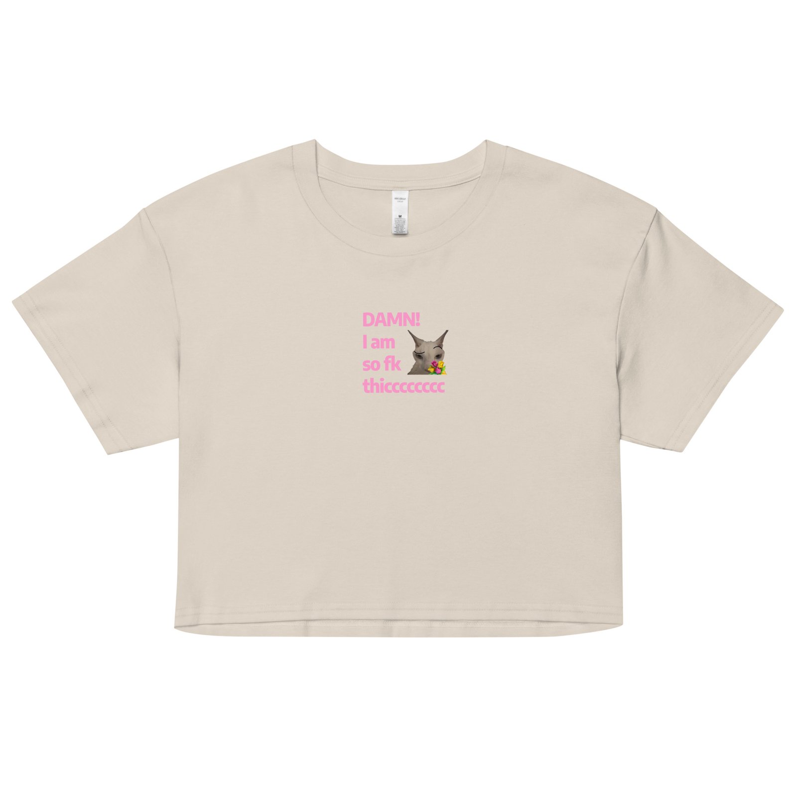 Damn Im So Fk Thicc Y2K Baby Tee | Dump Truck Baddie Retro Cropped Top | Full Body Meme Moment Tee - Image 11