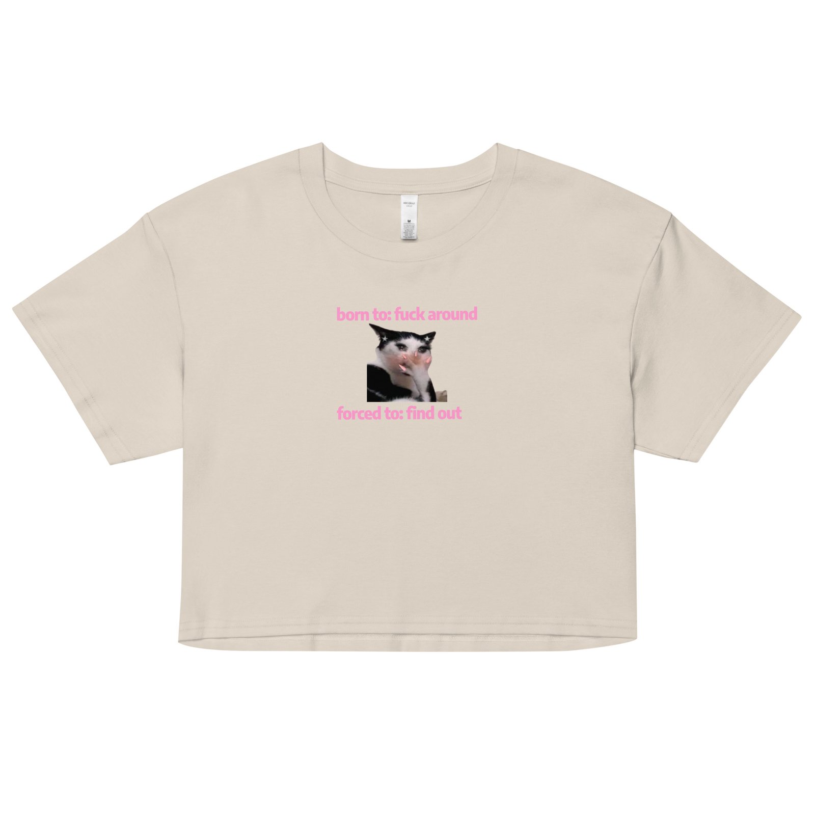 Born to Fuck Around Forced to Find Out Y2K Baby Tee | Chaos Theory Girl Retro Cropped Top | Certified Unhinged Meme Tee - Image 11