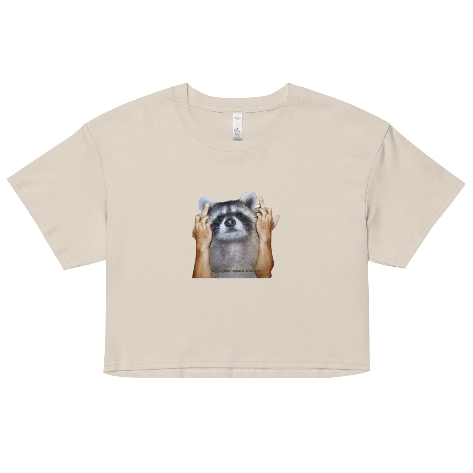 Fuck You Raccoon Y2K Baby Tee | Trash Animal Rage Retro Cropped Top | Angry Rodentcore Girl Tee - Image 12