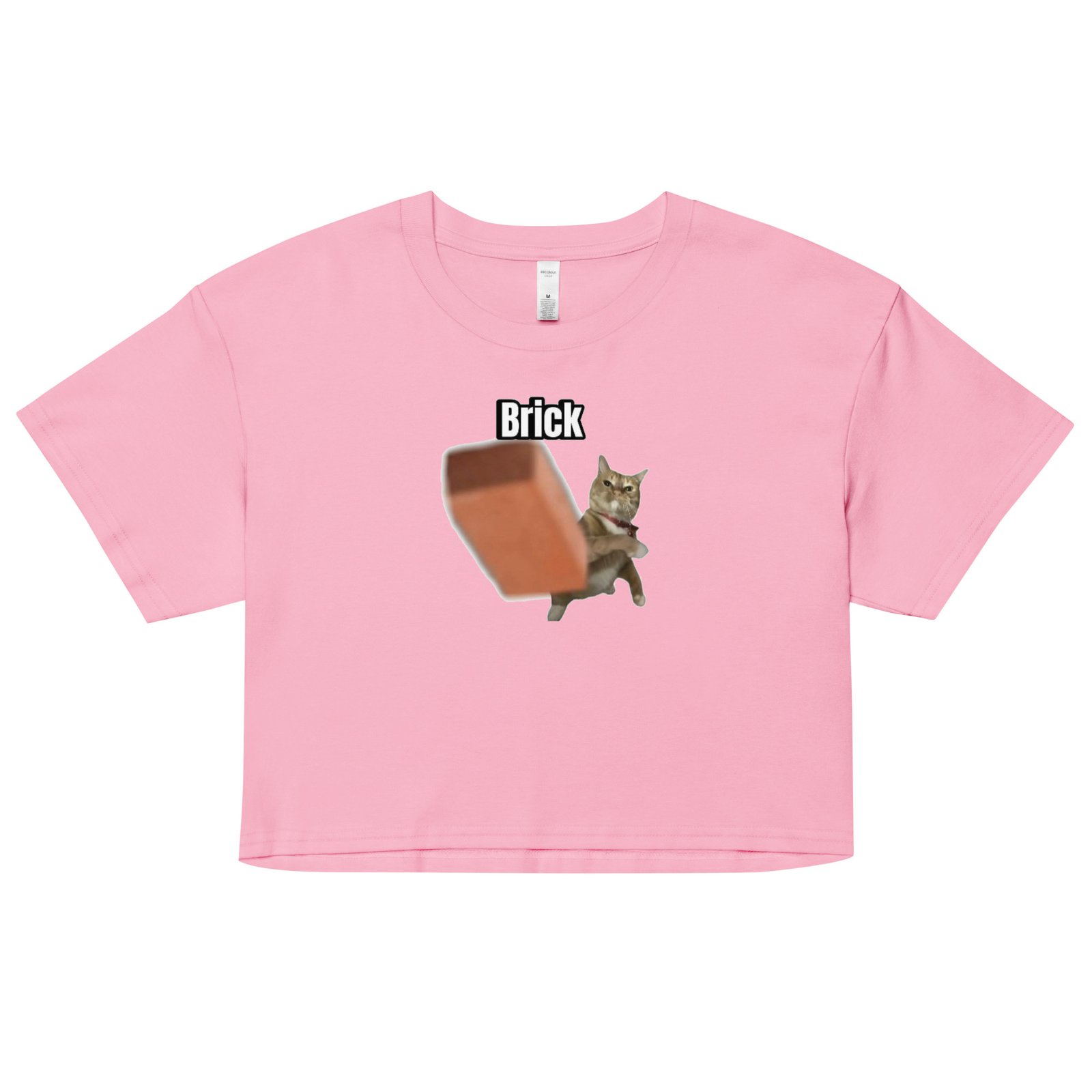 Brick Throwing Cat Meme Baby Tee | Throw Bricks Not Fits Y2K Cropped Top | Chaotic Catcore Alt-Girl Tee - Image 8
