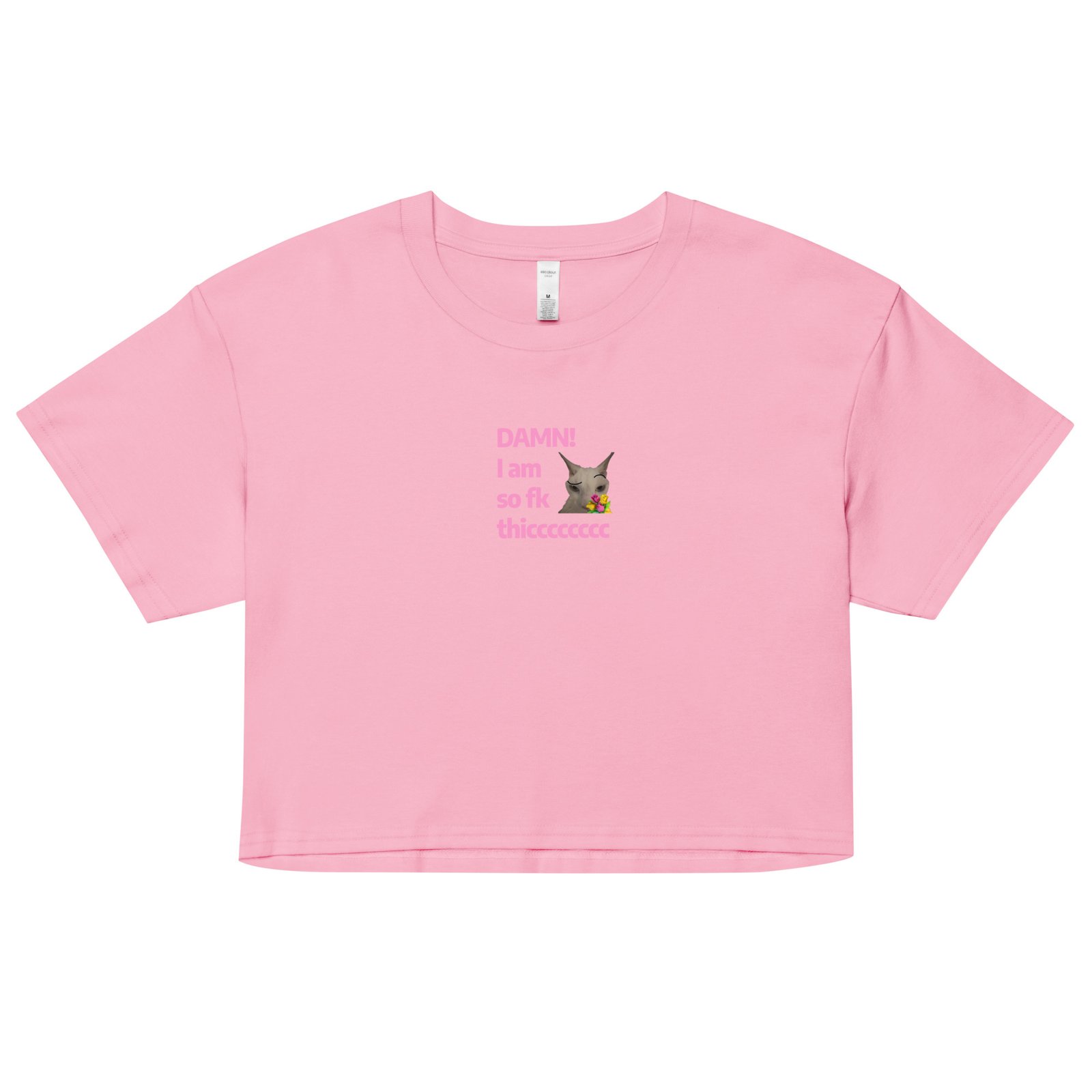 Damn Im So Fk Thicc Y2K Baby Tee | Dump Truck Baddie Retro Cropped Top | Full Body Meme Moment Tee - Image 7