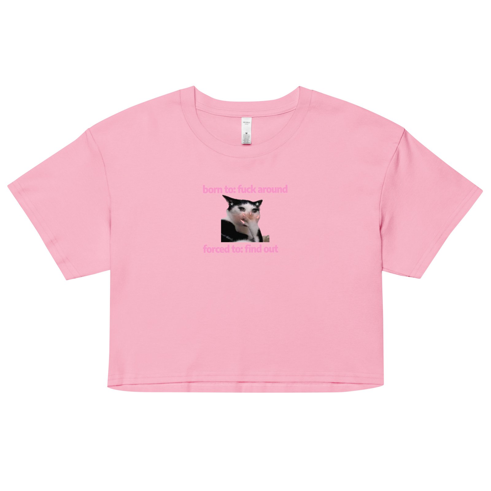 Born to Fuck Around Forced to Find Out Y2K Baby Tee | Chaos Theory Girl Retro Cropped Top | Certified Unhinged Meme Tee - Image 7