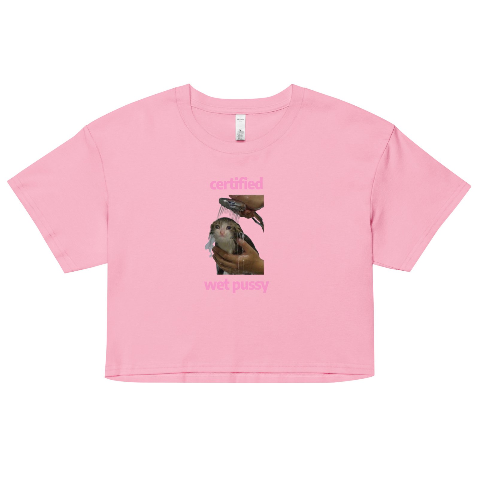 Certified Wet Pussy Y2K Baby Tee | Extra Juicy Bimbo Retro Cropped Top | Hydrated Slutcore Meme Tee - Image 8