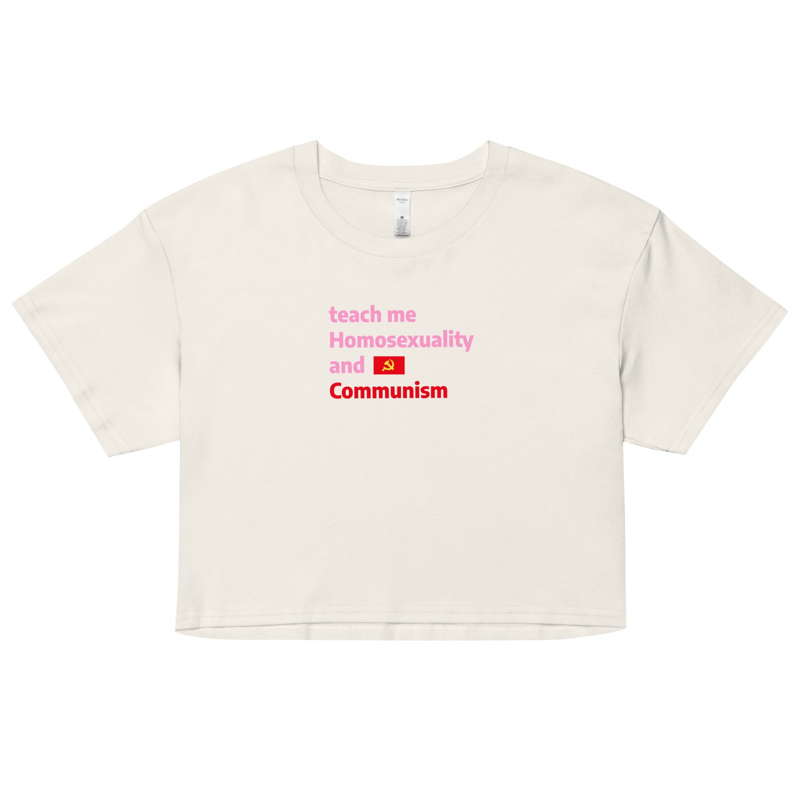 Teach Me Homosexuality and Communism Y2K Baby Tee | Gay Leftist Slut Retro Cropped Top | Educated and Horny Meme Tee - Image 17