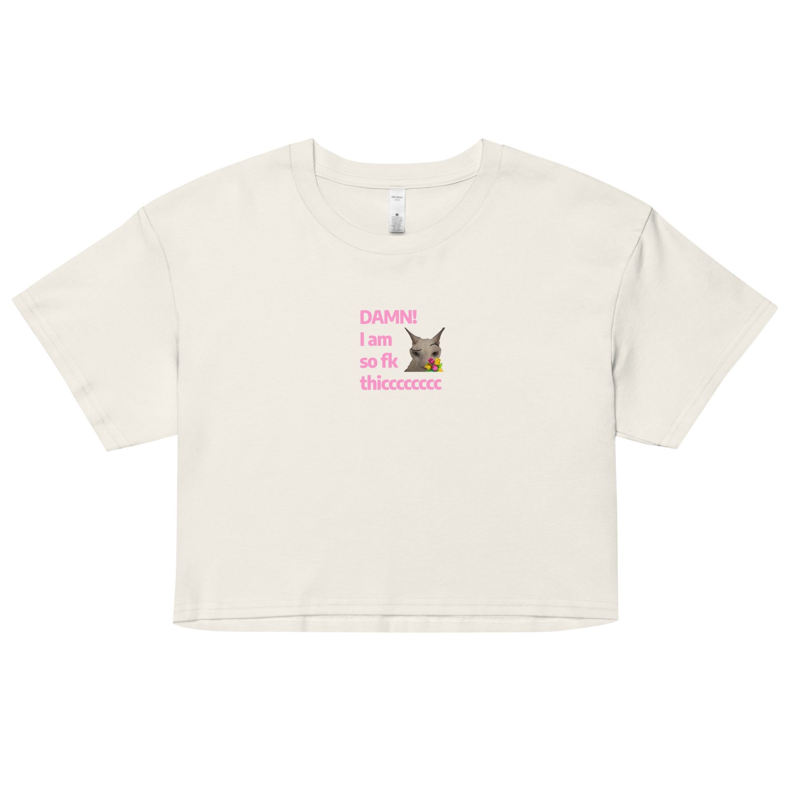 Damn Im So Fk Thicc Y2K Baby Tee | Dump Truck Baddie Retro Cropped Top | Full Body Meme Moment Tee - Image 17