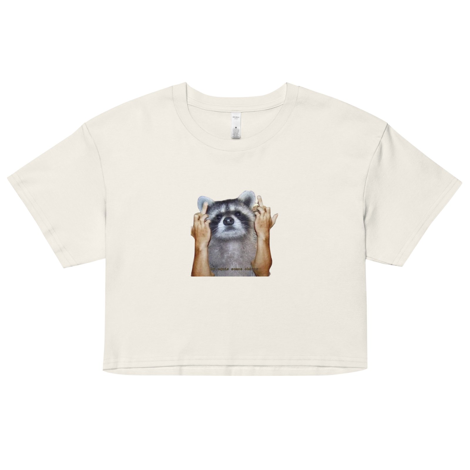 Fuck You Raccoon Y2K Baby Tee | Trash Animal Rage Retro Cropped Top | Angry Rodentcore Girl Tee - Image 18