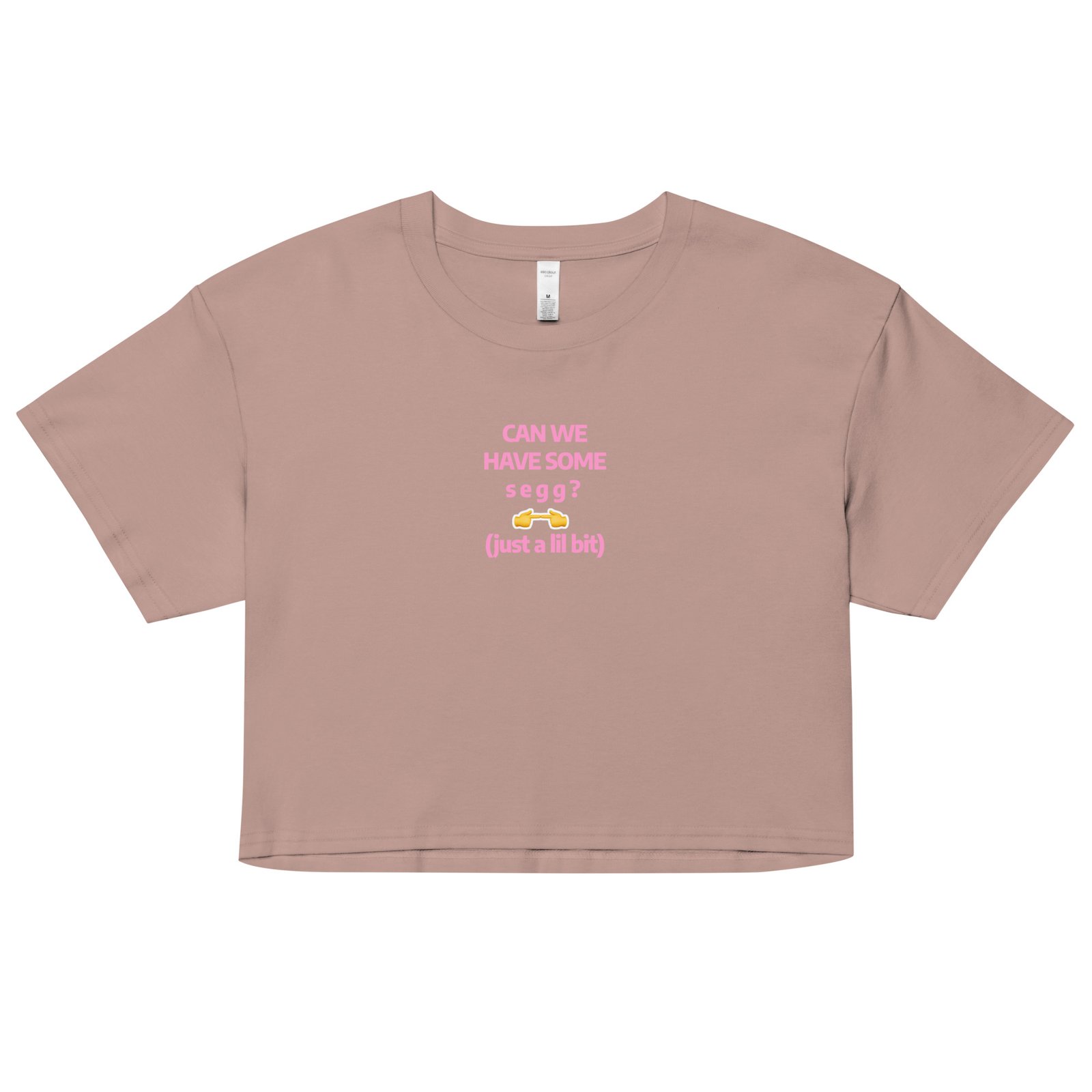 Can We Hav Some Segg Y2K Baby Tee | Unhinged Romance Retro Cropped Top | Thirsty Girl Energy Meme Tee - Image 6