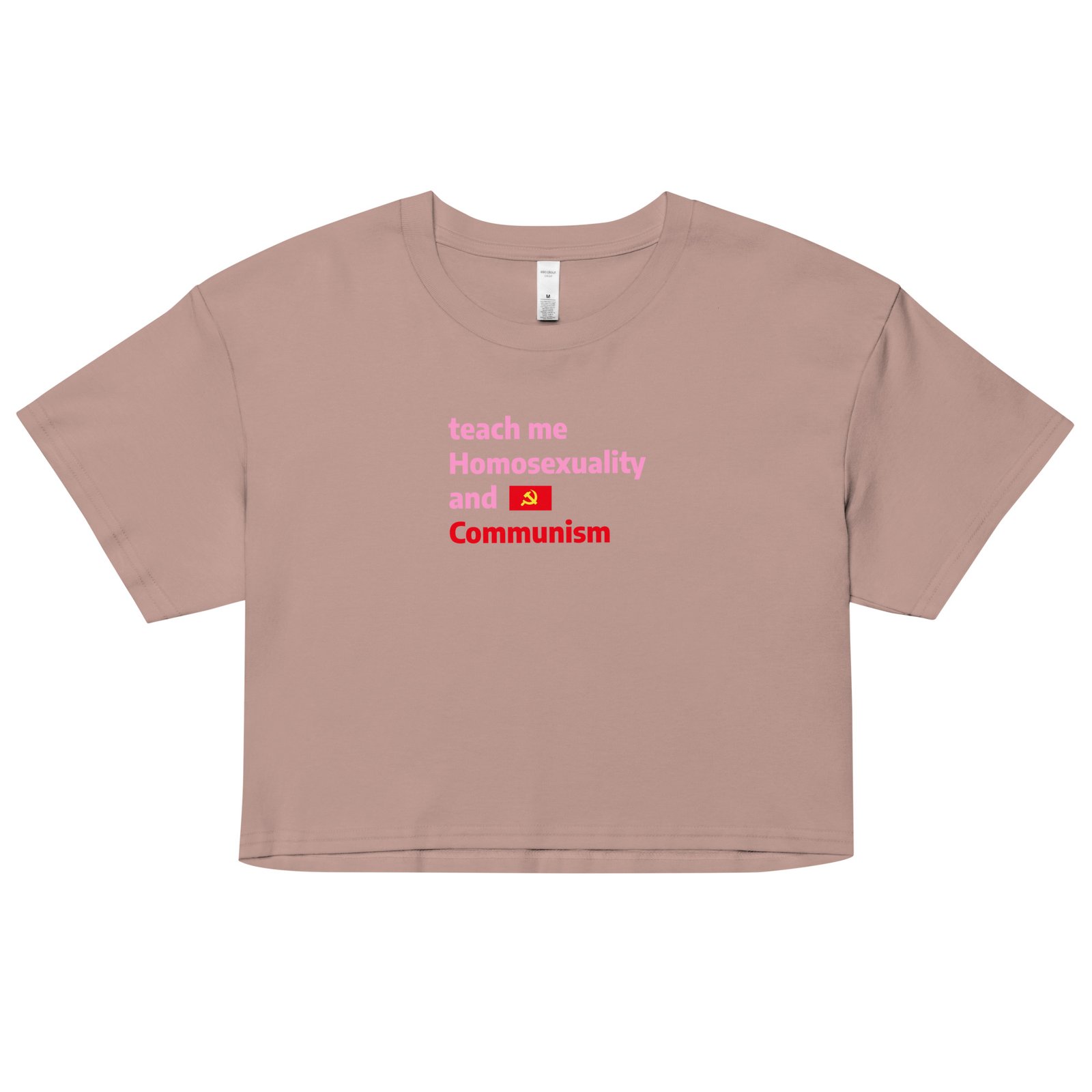 Teach Me Homosexuality and Communism Y2K Baby Tee | Gay Leftist Slut Retro Cropped Top | Educated and Horny Meme Tee - Image 5