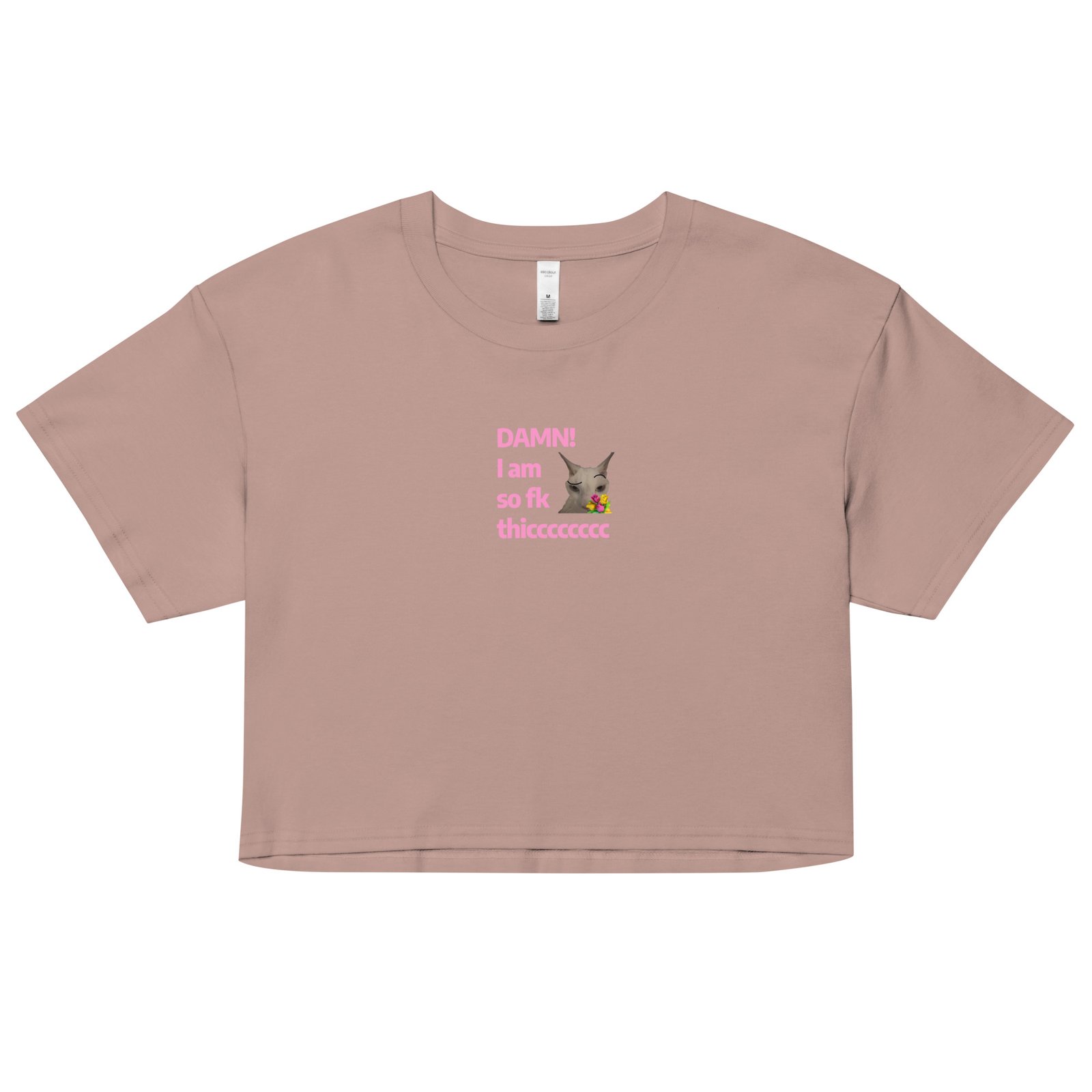 Damn Im So Fk Thicc Y2K Baby Tee | Dump Truck Baddie Retro Cropped Top | Full Body Meme Moment Tee - Image 5