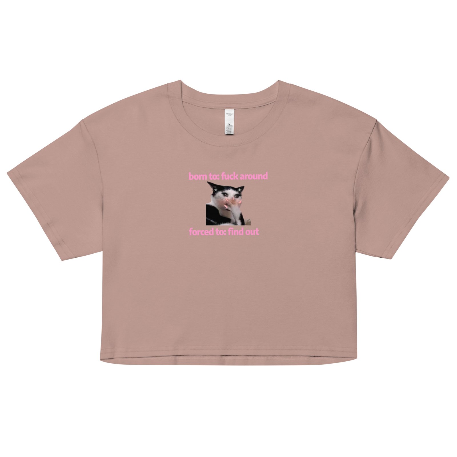 Born to Fuck Around Forced to Find Out Y2K Baby Tee | Chaos Theory Girl Retro Cropped Top | Certified Unhinged Meme Tee - Image 5