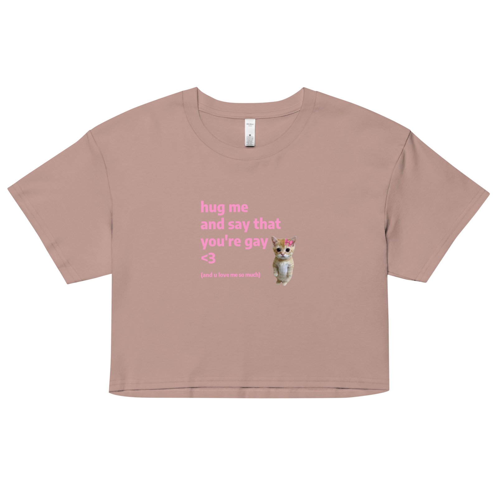 Hug Me and Say That Youre Gay and You Love Me Y2K Baby Tee | Queer Crybaby Cropped Top | Gay Sadgirl Meme Tee - Image 6