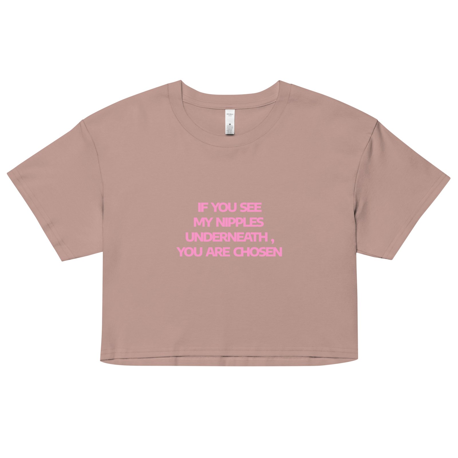 You Are Chosen Y2K Baby Tee | Divine Feminine Retro Cropped Top | Tumblr Destiny Baddie Tee - Image 5