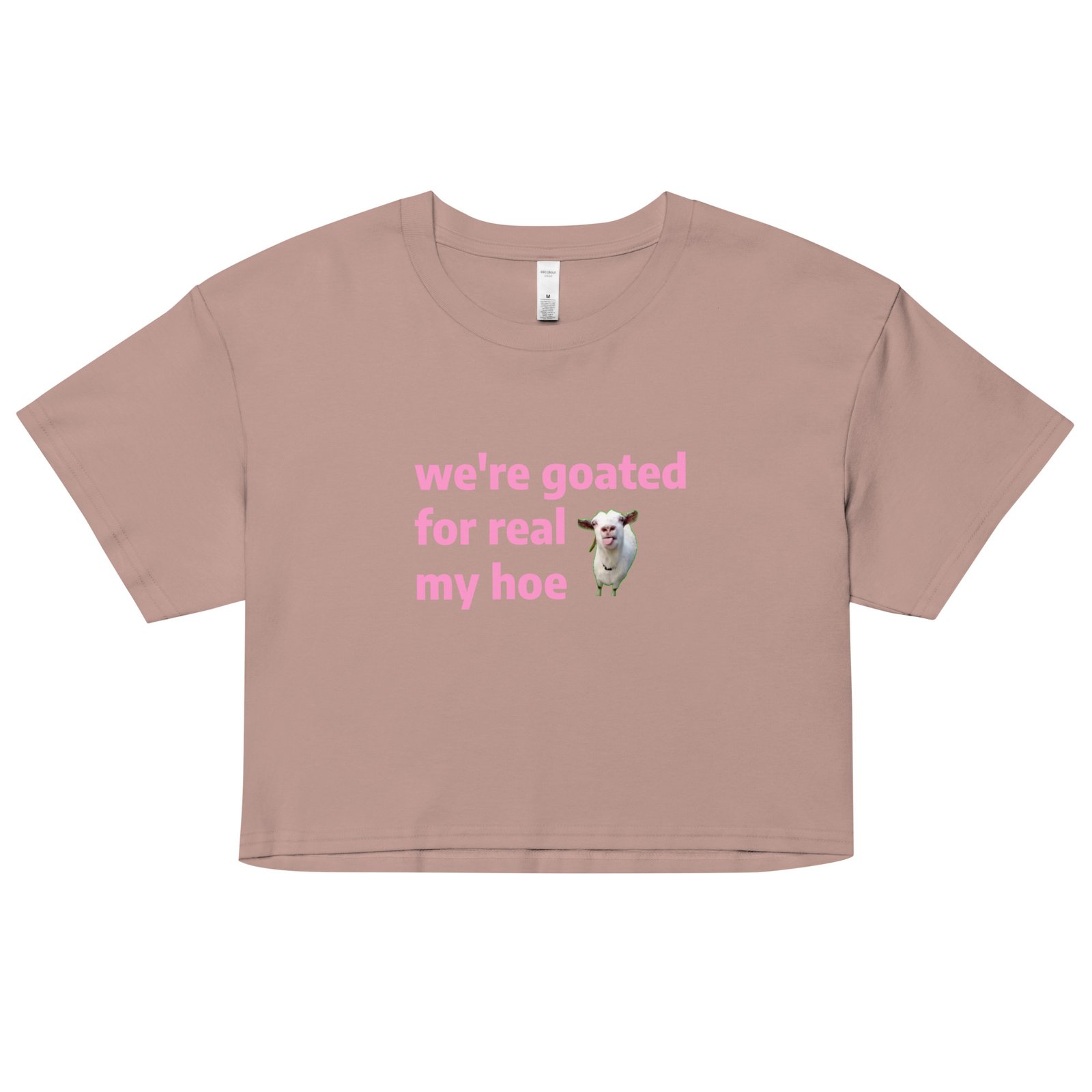 We're Goated Y2K Baby Tee | Legendary Girl Retro Cropped Top | Alt Meme Certified Top - Image 5