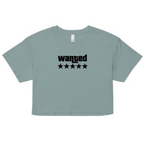Wanted Y2K Baby Tee | Outlaw Baddie Retro Cropped Top | Hot & Reckless Meme Shirt