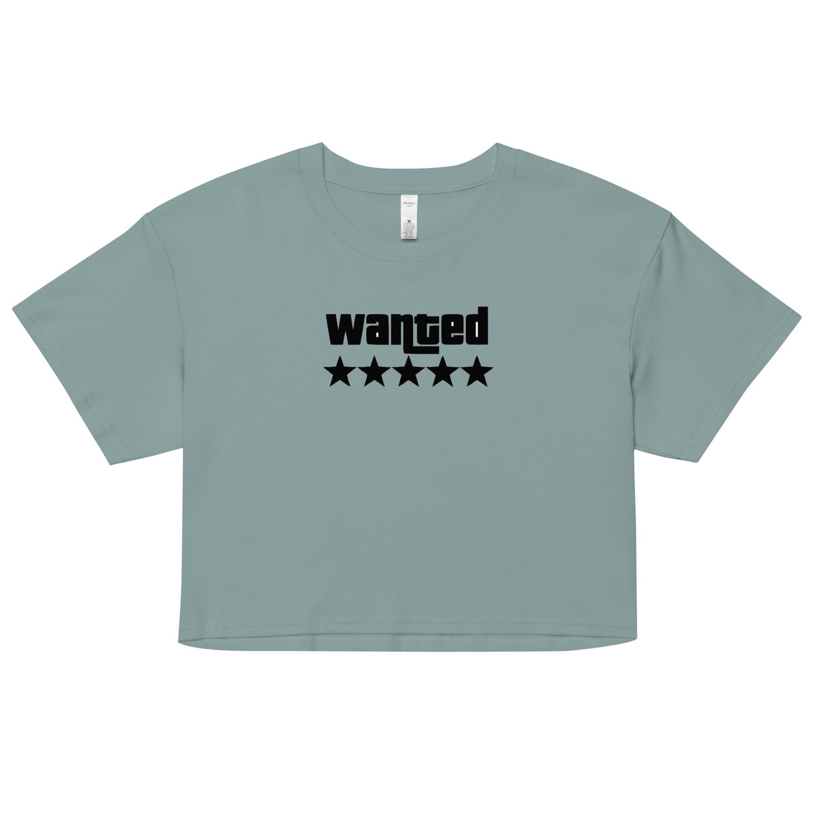 Wanted Y2K Baby Tee | Outlaw Baddie Retro Cropped Top | Hot & Reckless Meme Shirt