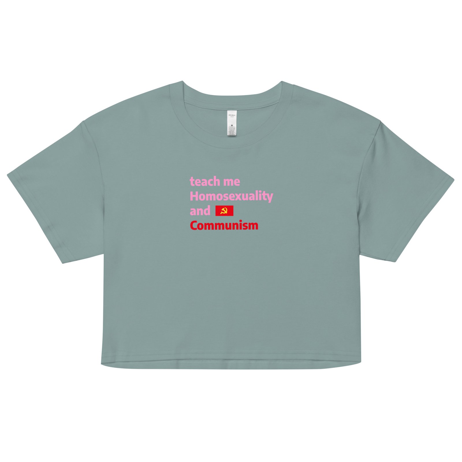 Teach Me Homosexuality and Communism Y2K Baby Tee | Gay Leftist Slut Retro Cropped Top | Educated and Horny Meme Tee - Image 3