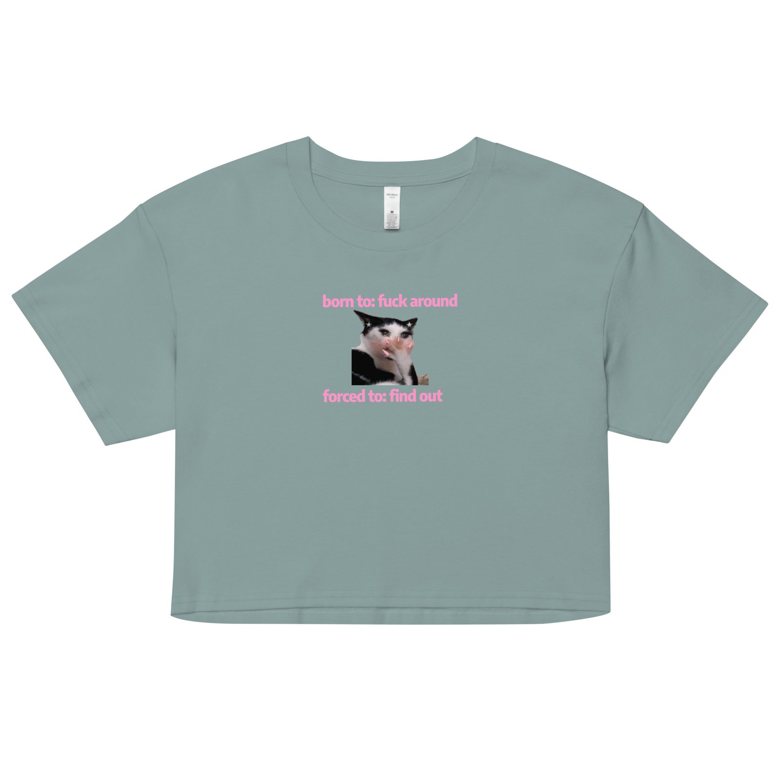 Born to Fuck Around Forced to Find Out Y2K Baby Tee | Chaos Theory Girl Retro Cropped Top | Certified Unhinged Meme Tee - Image 3