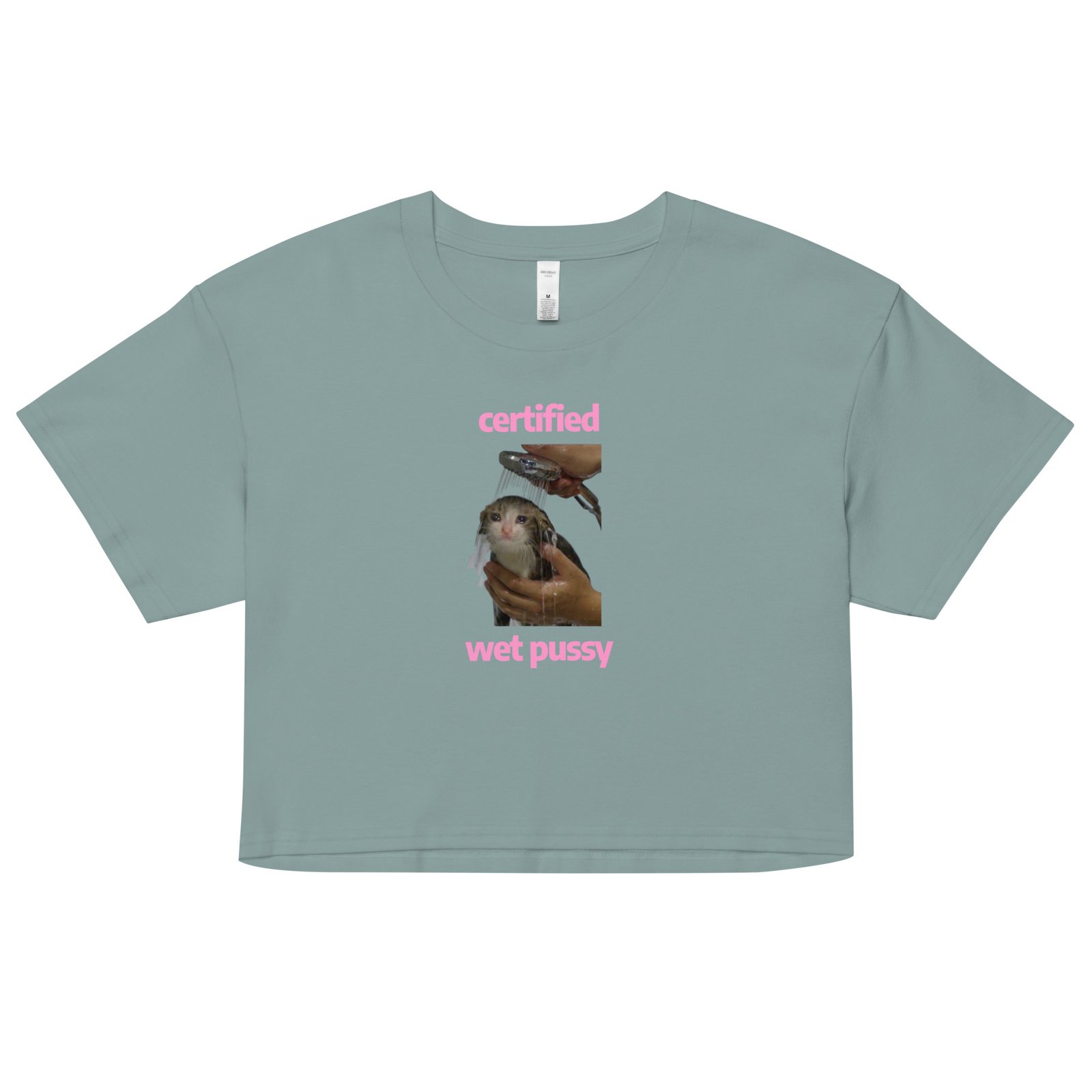 Certified Wet Pussy Y2K Baby Tee | Extra Juicy Bimbo Retro Cropped Top | Hydrated Slutcore Meme Tee - Image 4