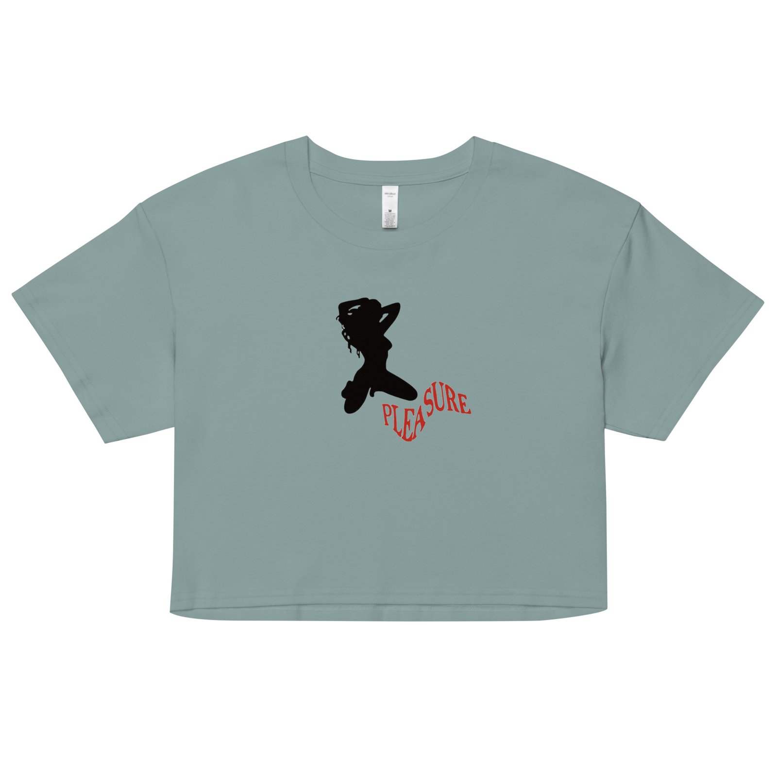 Pleasure Girl Y2K Baby Tee | Softcore Bimbo Retro Cropped Top | Hyperfemme Club Meme Shirt - Image 30